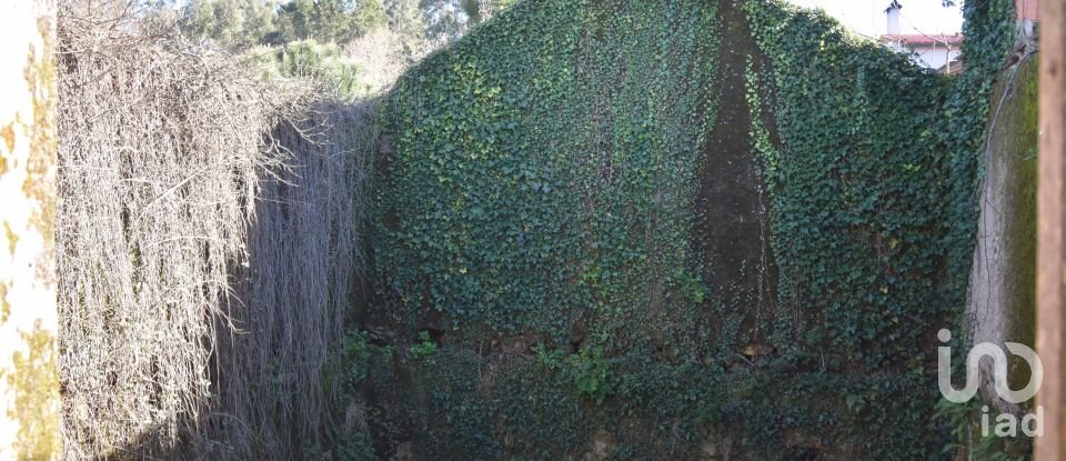 Maison de village T0 à Espinhal de 216 m²