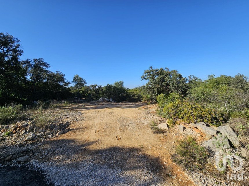 Land in Loulé (São Clemente) of 4,960 m²