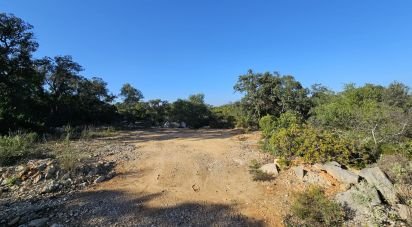 Land in Loulé (São Clemente) of 4,960 m²