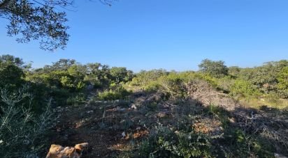 Land in Loulé (São Clemente) of 4,960 m²