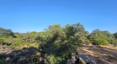 Land in Loulé (São Clemente) of 4,960 m²