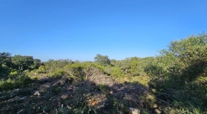 Land in Loulé (São Clemente) of 4,960 m²