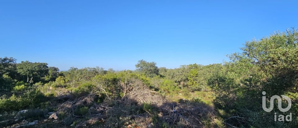 Land in Loulé (São Clemente) of 4,960 m²