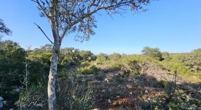 Land in Loulé (São Clemente) of 4,960 m²