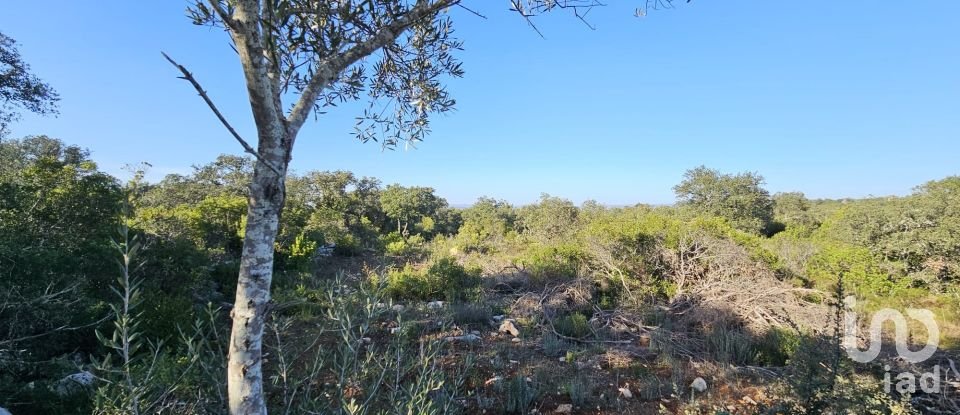 Land in Loulé (São Clemente) of 4,960 m²