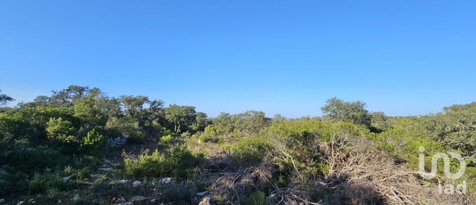 Land in Loulé (São Clemente) of 4,960 m²