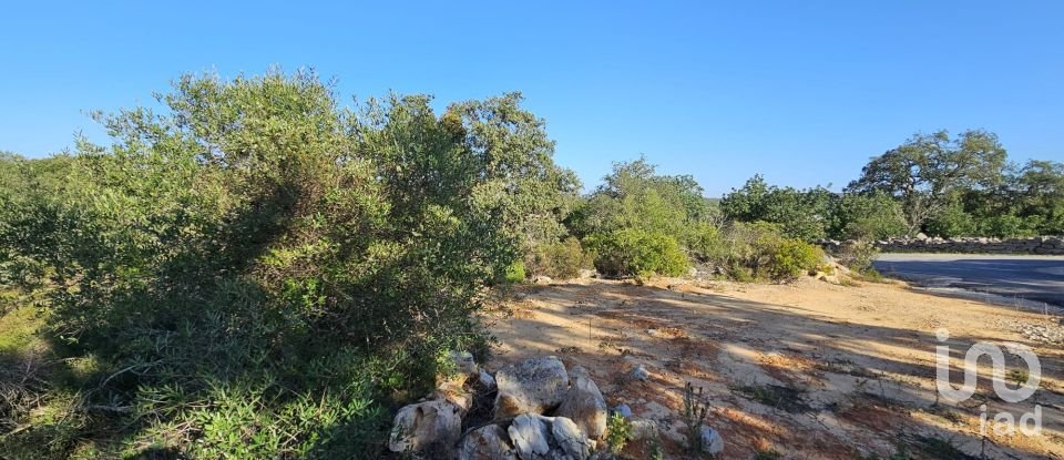 Land in Loulé (São Clemente) of 4,960 m²