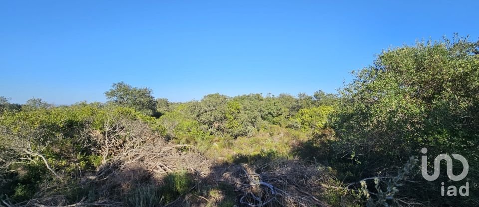 Land in Loulé (São Clemente) of 4,960 m²