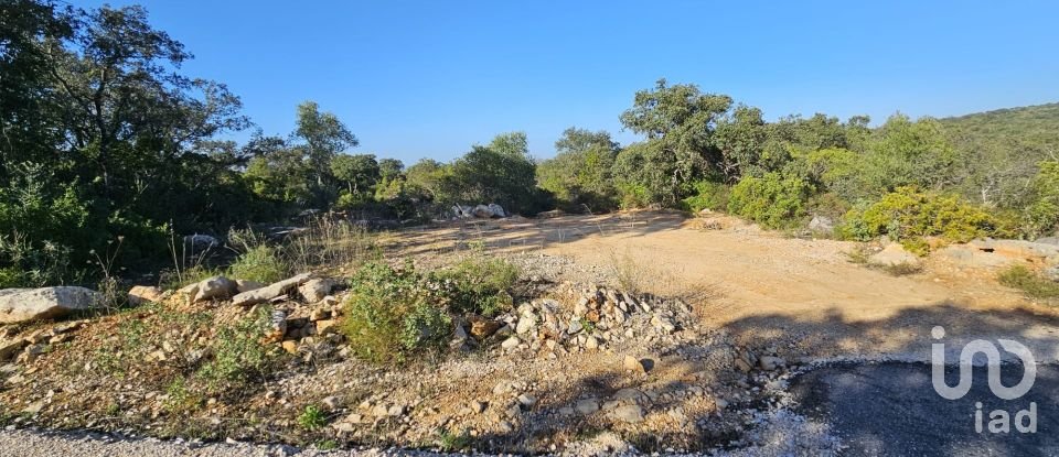 Land in Loulé (São Clemente) of 4,960 m²