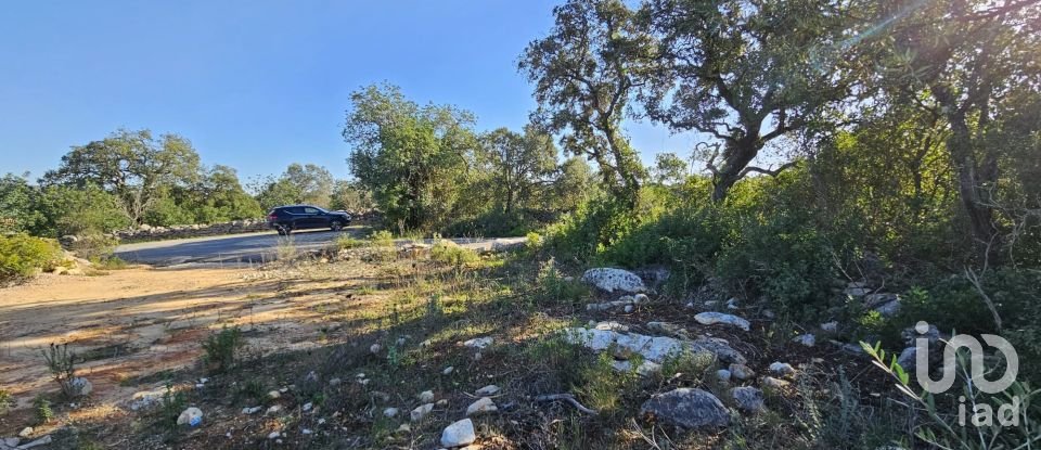 Land in Loulé (São Clemente) of 4,960 m²