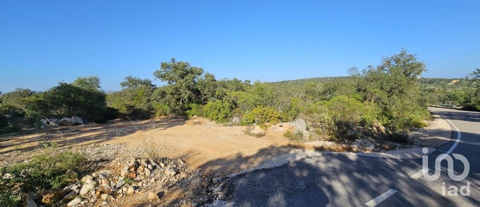 Land in Loulé (São Clemente) of 4,960 m²