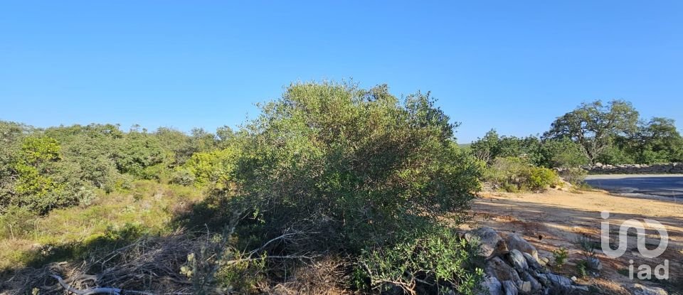 Land in Loulé (São Clemente) of 4,960 m²