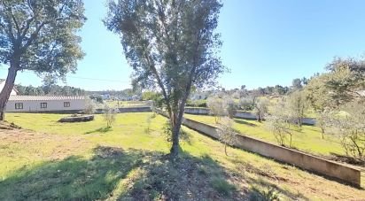 Maison rustique T2 à Castelo de 52 m²