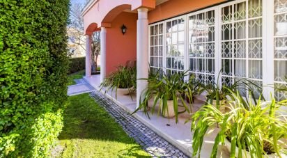 Maison T6 à Montijo e Afonsoeiro de 518 m²