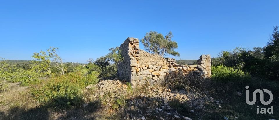 Land in Loulé (São Clemente) of 12,351 m²