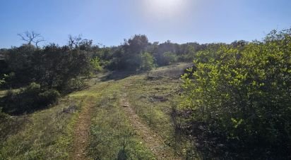 Land in Loulé (São Clemente) of 12,351 m²