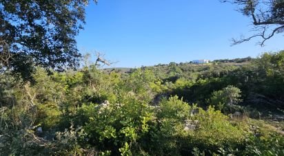 Land in Loulé (São Clemente) of 12,351 m²