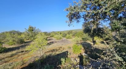 Land in Loulé (São Clemente) of 12,351 m²