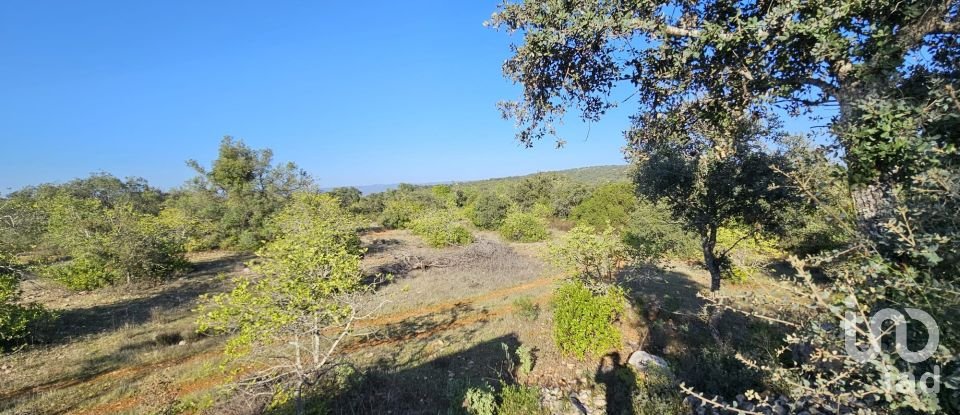 Land in Loulé (São Clemente) of 12,351 m²