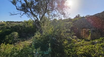 Land in Loulé (São Clemente) of 12,351 m²