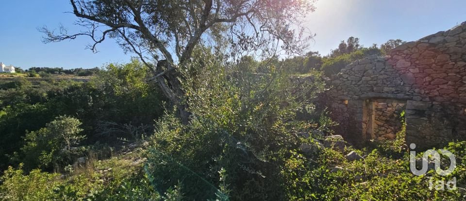 Land in Loulé (São Clemente) of 12,351 m²