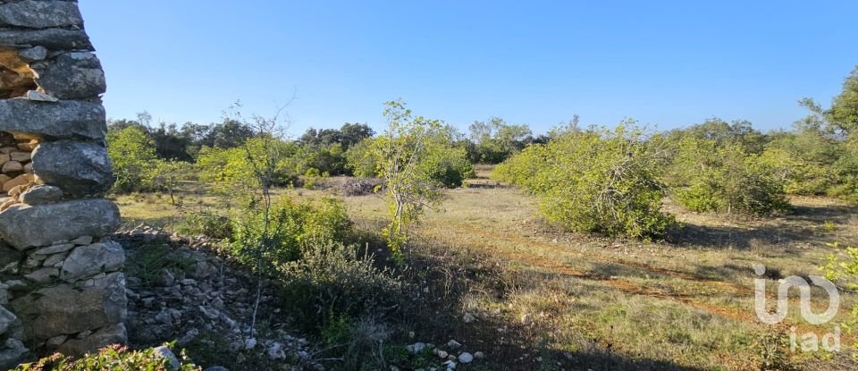 Land in Loulé (São Clemente) of 12,351 m²