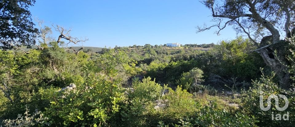 Land in Loulé (São Clemente) of 12,351 m²