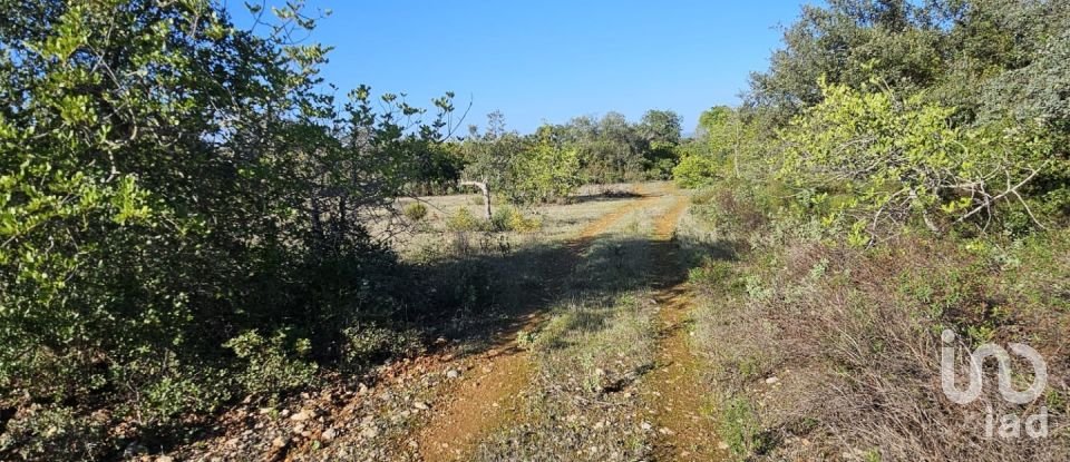 Land in Loulé (São Clemente) of 12,351 m²
