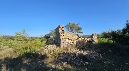 Land in Loulé (São Clemente) of 12,351 m²