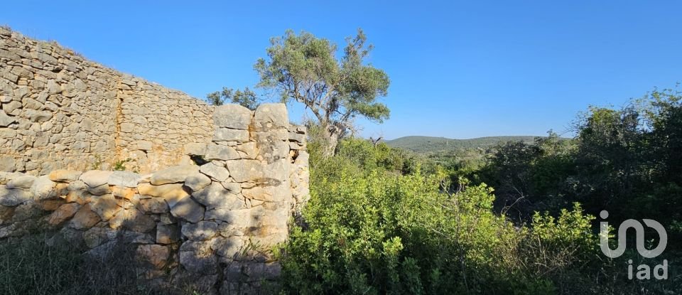 Land in Loulé (São Clemente) of 12,351 m²