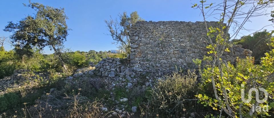 Land in Loulé (São Clemente) of 12,351 m²