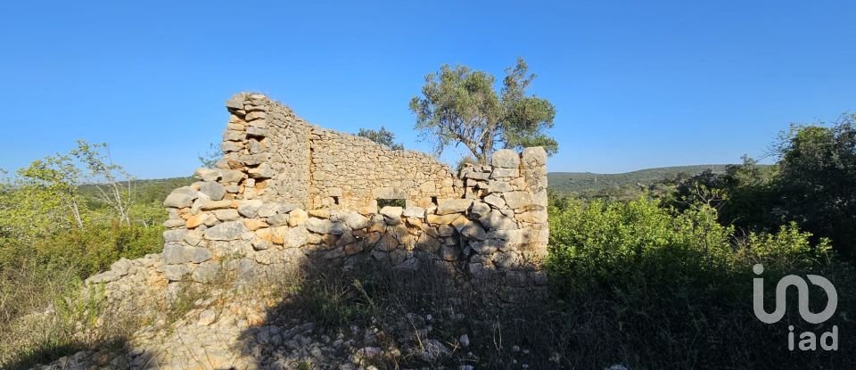 Land in Loulé (São Clemente) of 12,351 m²