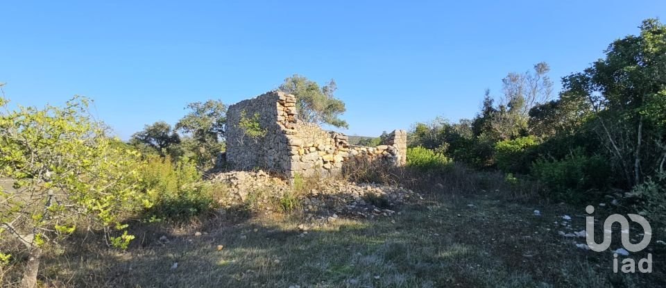 Land in Loulé (São Clemente) of 12,351 m²