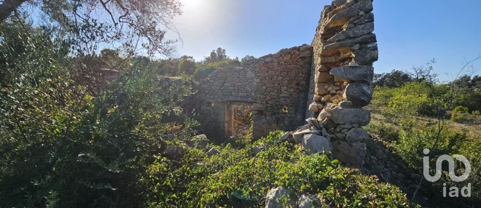 Land in Loulé (São Clemente) of 12,351 m²