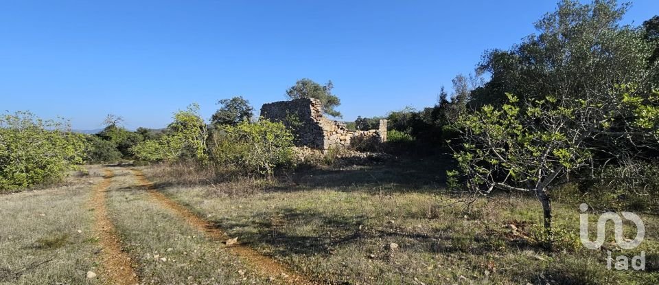 Land in Loulé (São Clemente) of 12,351 m²