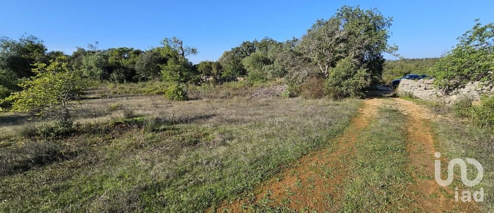 Land in Loulé (São Clemente) of 12,351 m²