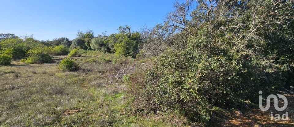Land in Loulé (São Clemente) of 12,351 m²