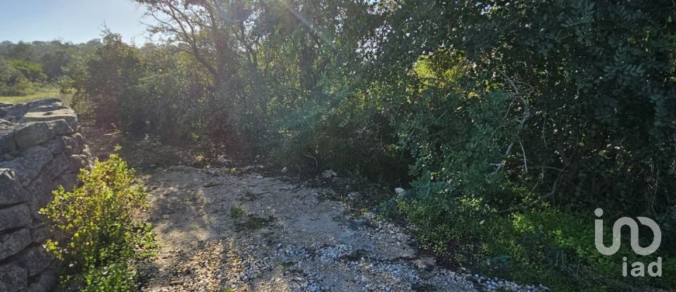 Land in Loulé (São Clemente) of 12,351 m²