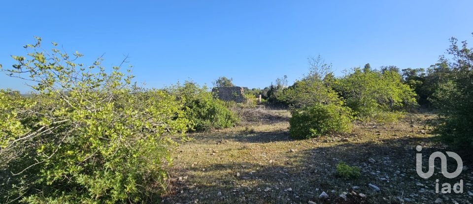 Land in Loulé (São Clemente) of 12,351 m²
