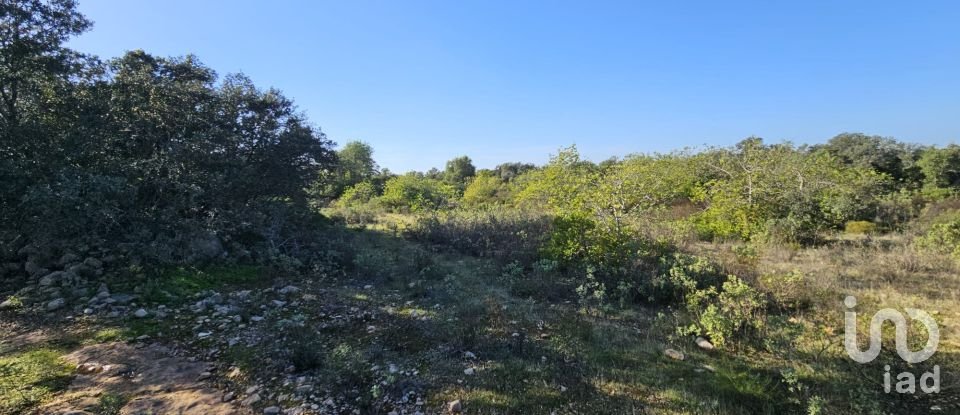 Land in Loulé (São Clemente) of 12,351 m²