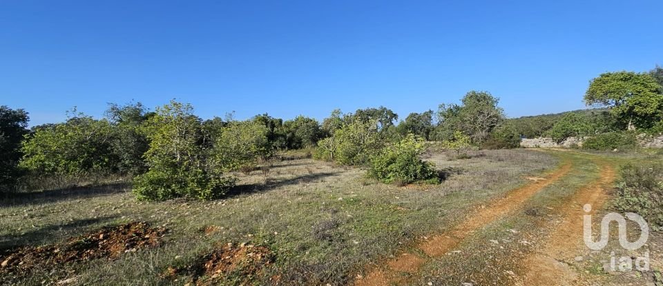Land in Loulé (São Clemente) of 12,351 m²