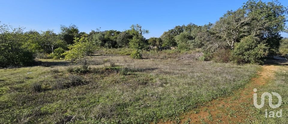 Land in Loulé (São Clemente) of 12,351 m²