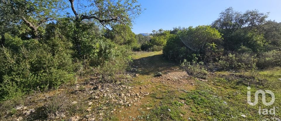 Land in Loulé (São Clemente) of 12,351 m²