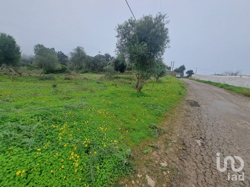 Terrain à São Brás de Alportel de 1 350 m²