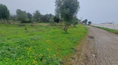 Terrain à São Brás de Alportel de 1 350 m²