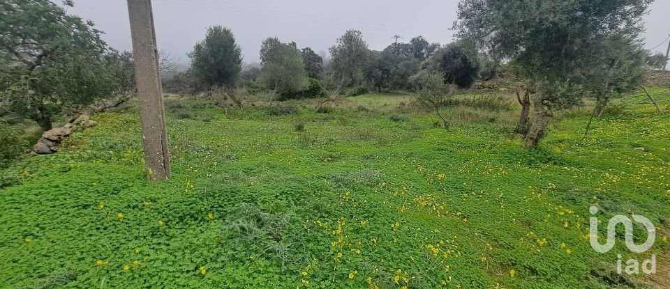 Terrain à São Brás de Alportel de 1 350 m²