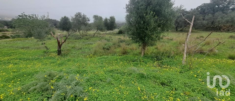 Terrain à São Brás de Alportel de 1 350 m²