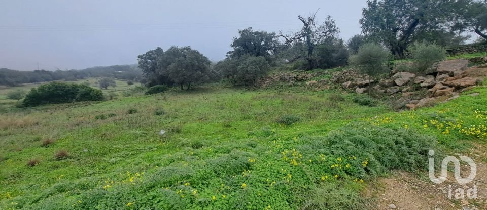 Terrain à São Brás de Alportel de 1 350 m²