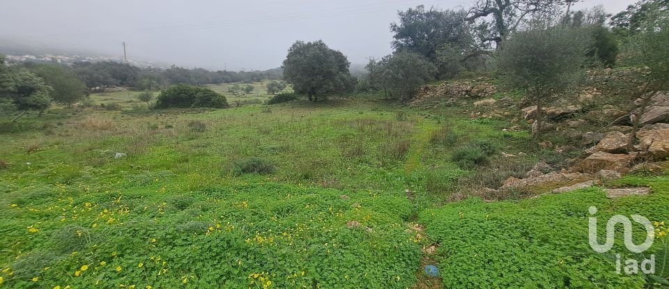 Terrain à São Brás de Alportel de 1 350 m²