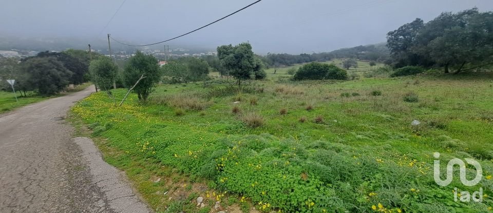 Terrain à São Brás de Alportel de 1 350 m²